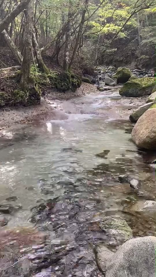 県道 場 キャンプ 山梨 志村